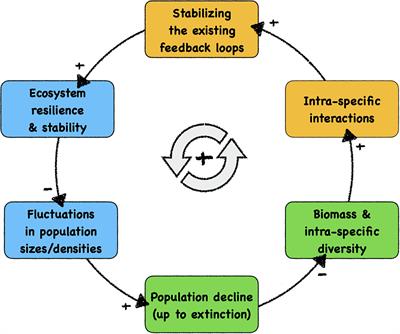 Social Integrating Robots Suggest Mitigation Strategies for Ecosystem Decay